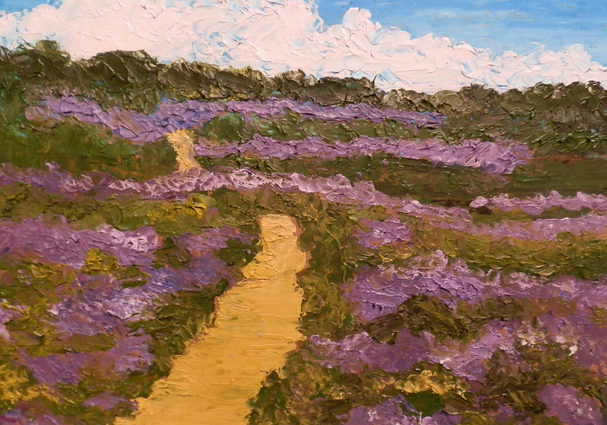 Pathway through the field of purples